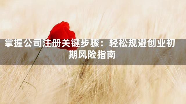 掌握公司注册关键步骤：轻松规避创业初期风险指南