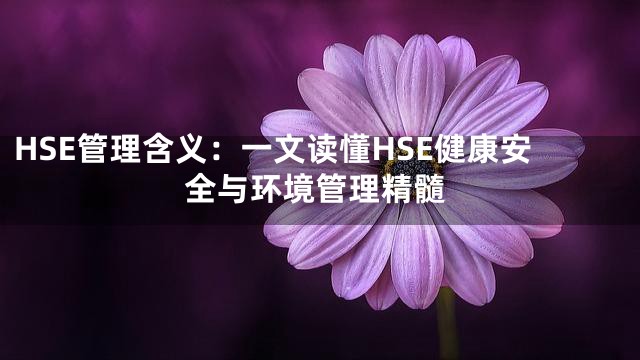 HSE管理含义：一文读懂HSE健康安全与环境管理精髓