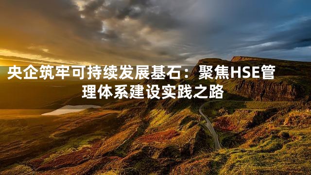 央企筑牢可持续发展基石：聚焦HSE管理体系建设实践之路