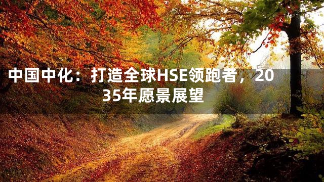 中国中化：打造全球HSE领跑者，2035年愿景展望