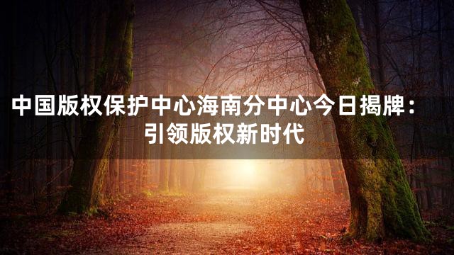 中国版权保护中心海南分中心今日揭牌：引领版权新时代