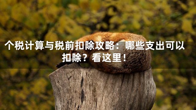 个税计算与税前扣除攻略：哪些支出可以扣除？看这里！