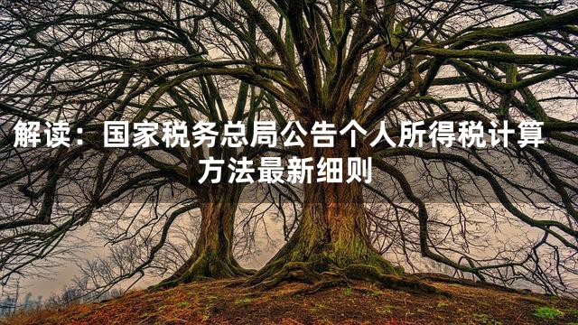 解读：国家税务总局公告个人所得税计算方法最新细则