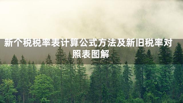 新个税税率表计算公式方法及新旧税率对照表图解