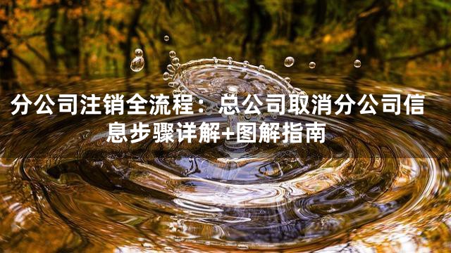 分公司注销全流程：总公司取消分公司信息步骤详解+图解指南