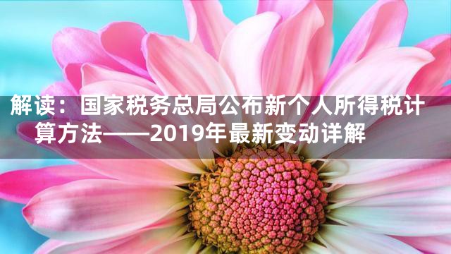 解读：国家税务总局公布新个人所得税计算方法——2019年最新变动详解