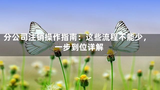 分公司注销操作指南：这些流程不能少，一步到位详解