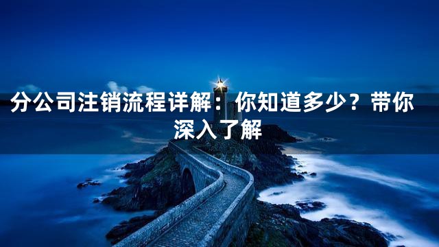 分公司注销流程详解：你知道多少？带你深入了解