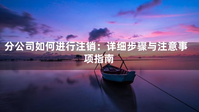 分公司如何进行注销：详细步骤与注意事项指南