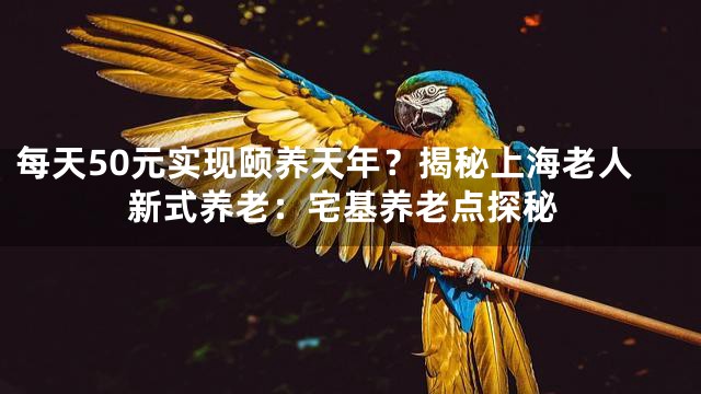 每天50元实现颐养天年？揭秘上海老人新式养老：宅基养老点探秘
