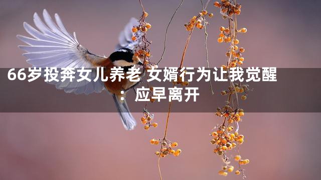 66岁投奔女儿养老 女婿行为让我觉醒：应早离开