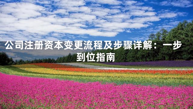 公司注册资本变更流程及步骤详解：一步到位指南