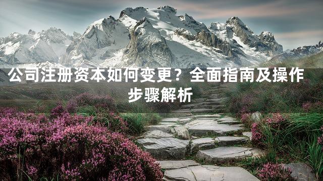 公司注册资本如何变更？全面指南及操作步骤解析