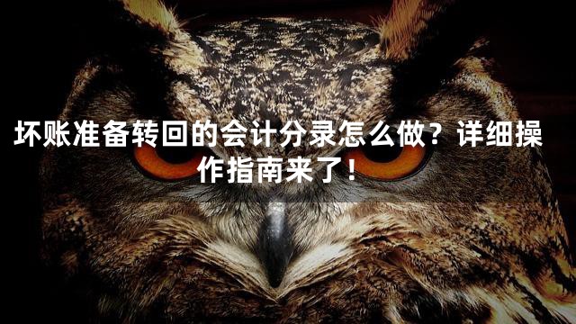 坏账准备转回的会计分录怎么做？详细操作指南来了！