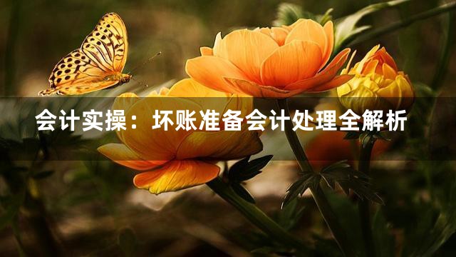 会计实操：坏账准备会计处理全解析