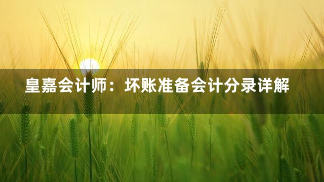 皇嘉会计师：坏账准备会计分录详解