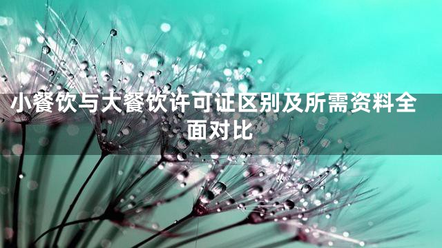 小餐饮与大餐饮许可证区别及所需资料全面对比