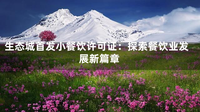 生态城首发小餐饮许可证：探索餐饮业发展新篇章