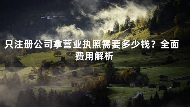 只注册公司拿营业执照需要多少钱？全面费用解析