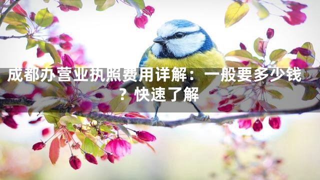 成都办营业执照费用详解：一般要多少钱？快速了解