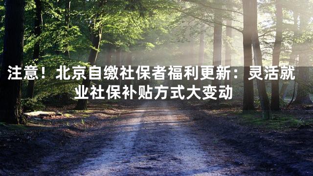注意！北京自缴社保者福利更新：灵活就业社保补贴方式大变动