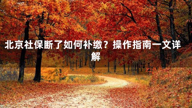 北京社保断了如何补缴？操作指南一文详解