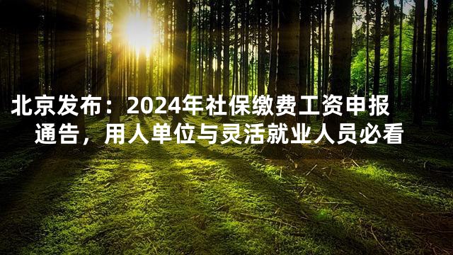 北京发布：2024年社保缴费工资申报通告，用人单位与灵活就业人员必看