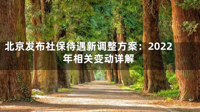 北京发布社保待遇新调整方案：2022年相关变动详解