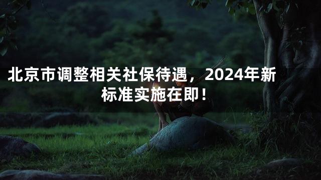 北京市调整相关社保待遇，2024年新标准实施在即！