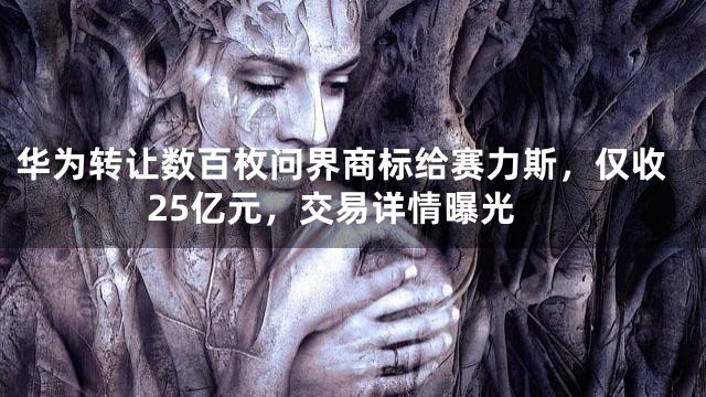 华为转让数百枚问界商标给赛力斯，仅收25亿元，交易详情曝光