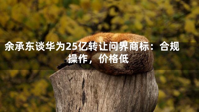 余承东谈华为25亿转让问界商标：合规操作，价格低