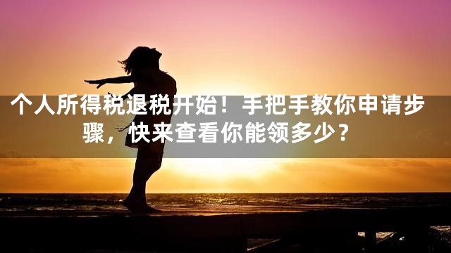 个人所得税退税开始！手把手教你申请步骤，快来查看你能领多少？
