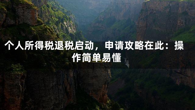 个人所得税退税启动，申请攻略在此：操作简单易懂