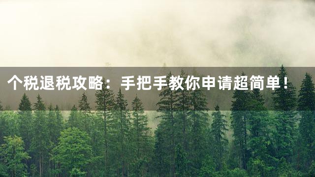 个税退税攻略：手把手教你申请超简单！