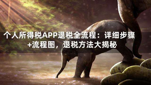 个人所得税APP退税全流程：详细步骤+流程图，退税方法大揭秘