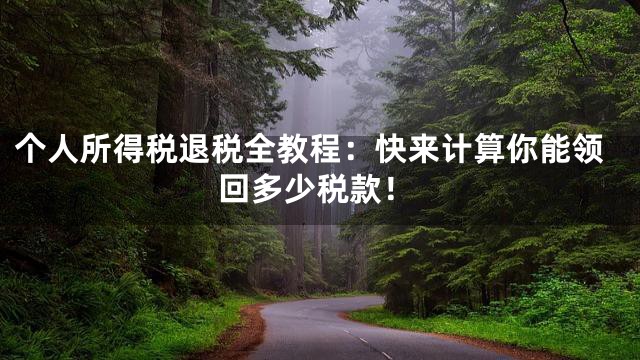 个人所得税退税全教程：快来计算你能领回多少税款！