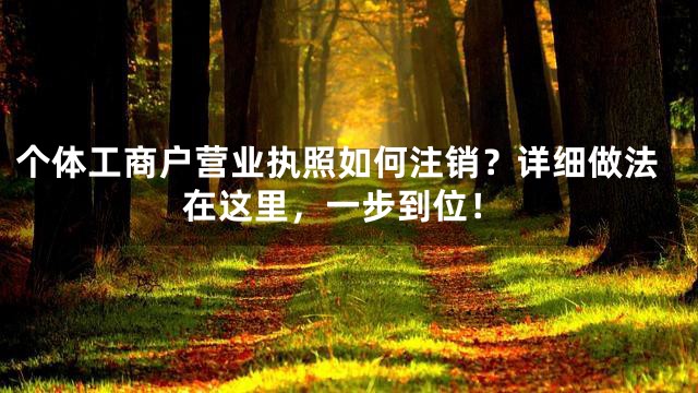 个体工商户营业执照如何注销？详细做法在这里，一步到位！