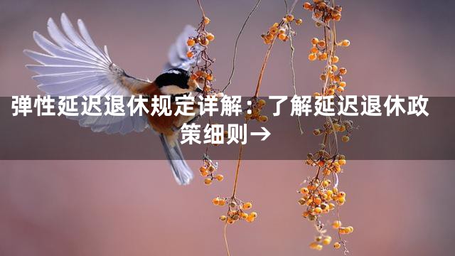 弹性延迟退休规定详解：了解延迟退休政策细则→