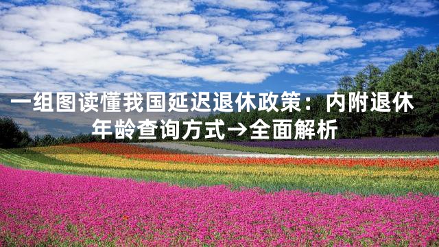一组图读懂我国延迟退休政策：内附退休年龄查询方式→全面解析