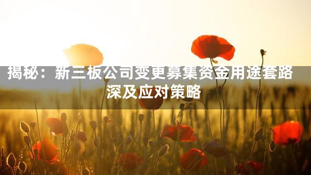 揭秘：新三板公司变更募集资金用途套路深及应对策略