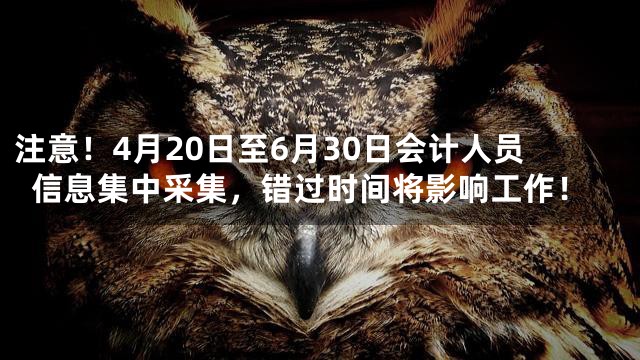 注意！4月20日至6月30日会计人员信息集中采集，错过时间将影响工作！