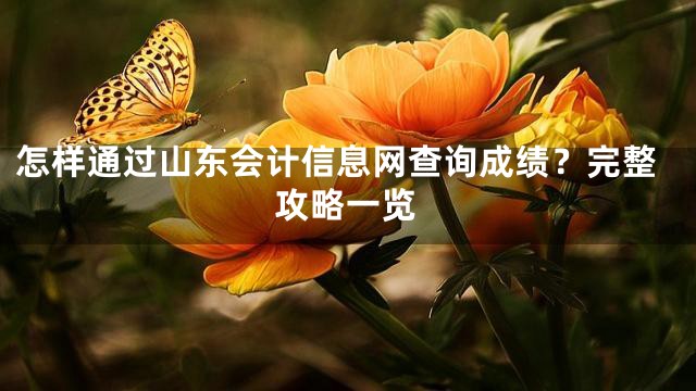 怎样通过山东会计信息网查询成绩？完整攻略一览