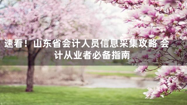 速看！山东省会计人员信息采集攻略 会计从业者必备指南