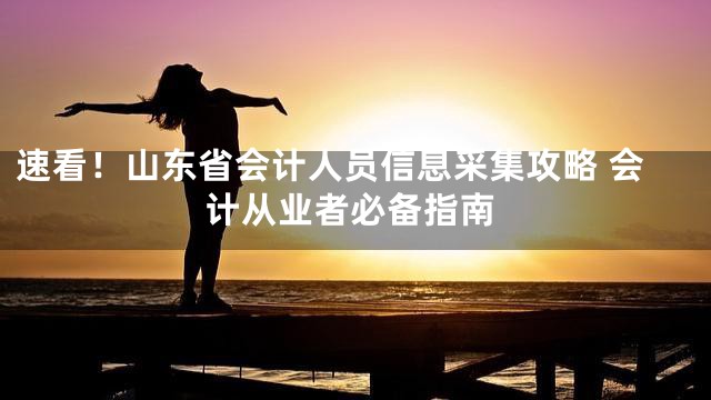 速看！山东省会计人员信息采集攻略 会计从业者必备指南