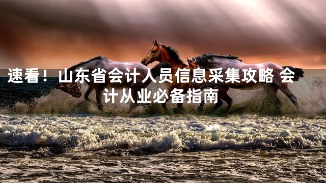 速看！山东省会计人员信息采集攻略 会计从业必备指南