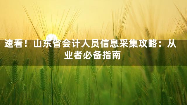 速看！山东省会计人员信息采集攻略：从业者必备指南