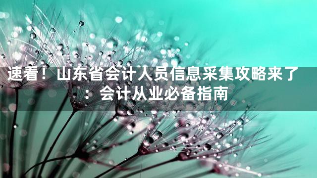速看！山东省会计人员信息采集攻略来了：会计从业必备指南