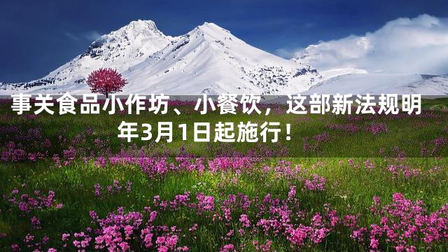 事关食品小作坊、小餐饮，这部新法规明年3月1日起施行！