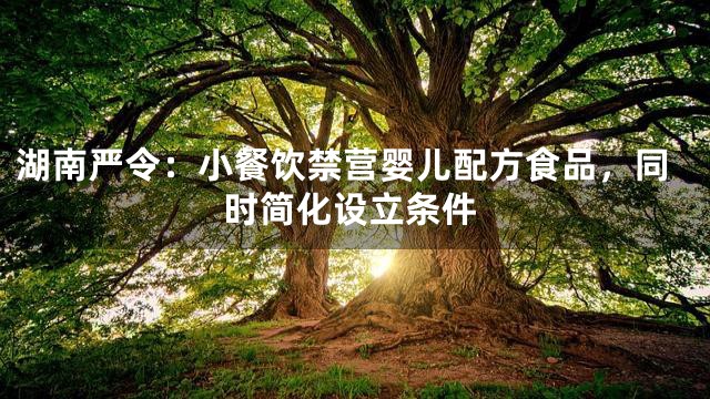 湖南严令：小餐饮禁营婴儿配方食品，同时简化设立条件