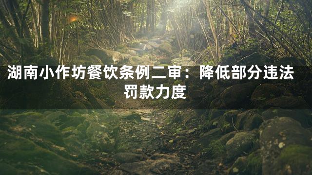 湖南小作坊餐饮条例二审：降低部分违法罚款力度